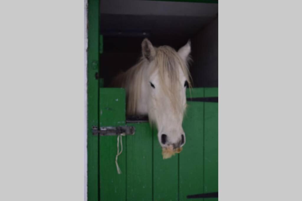 Cranmore House - A Walkers' And Cyclists' Dream Nenthead エクステリア 写真